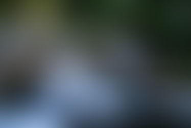 Le Soi, selon Carl Gustav Jung