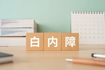 白内障手術に対応