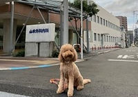 山本外科内科医院　外観