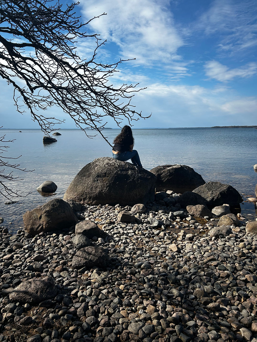 Vår ☀️
