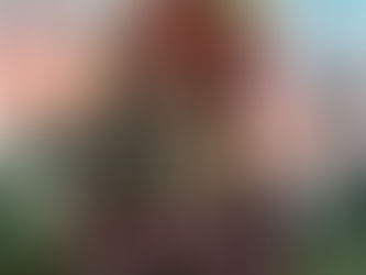 Season 1 Episode 10 - Love and Monsters