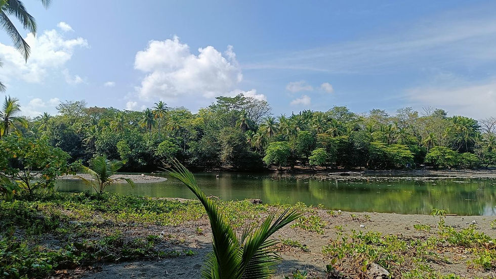 El Sueño Belga.pdf-image-022.jpg