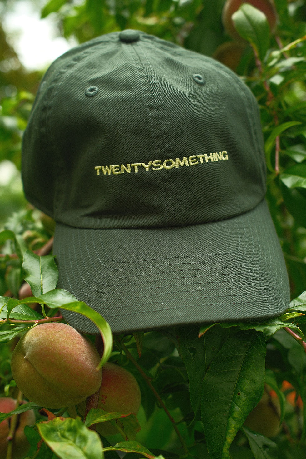 Twentysomething Dad Cap
