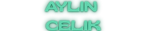 Aylin Celik.png