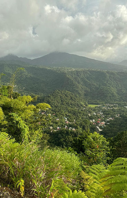 WhatsApp Image 2025-11-19 at 10.49.10 AM (5).jpeg