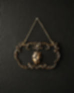 Anatomical heart wall hanging with an ornate baroque frame, silver or gold finish, velvet backing and hanging chain.