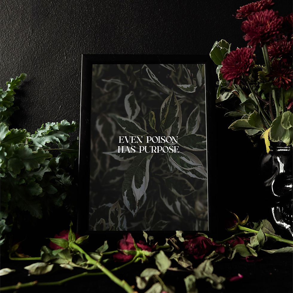 Variegated leaves in deep shadow with serif text reading “Even poison has purpose.” Printed on 265gsm satin paper.