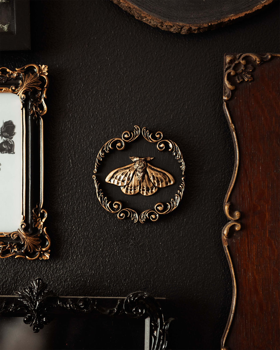 A small round plaque with an ornate, baroque style edge. In the centre is a moth sculpture. Silver or gold finish