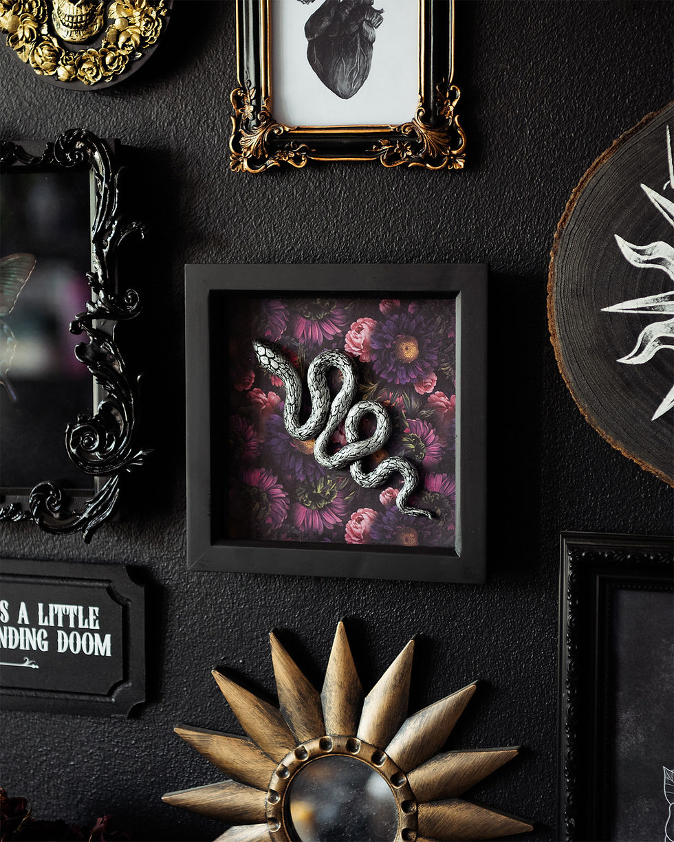 Thumbnail: A deep black box frame, with a display of a silver snake sculpture against a dark, moody pink floral background.