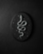 Oval gothic wall plaque with a raised snake sculpture against a starry night sky background, mounted on black MDF backing