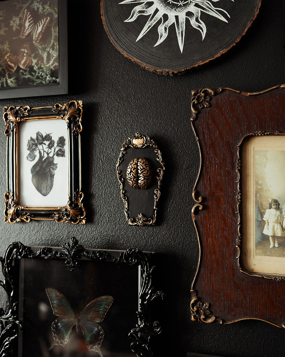 Thumbnail: 8x14cm coffin-shaped gothic wall hanging with a baroque style border, housing a human brain, available in silver or gold