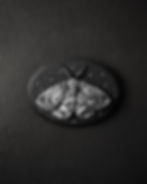 Oval gothic plaque featuring a raised moth sculpture against a starry night sky background, mounted on a dark MDF backing.