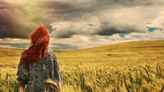 Abigail Lim's Testimony