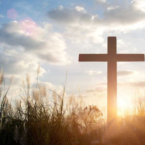 Christine Phua's testimony