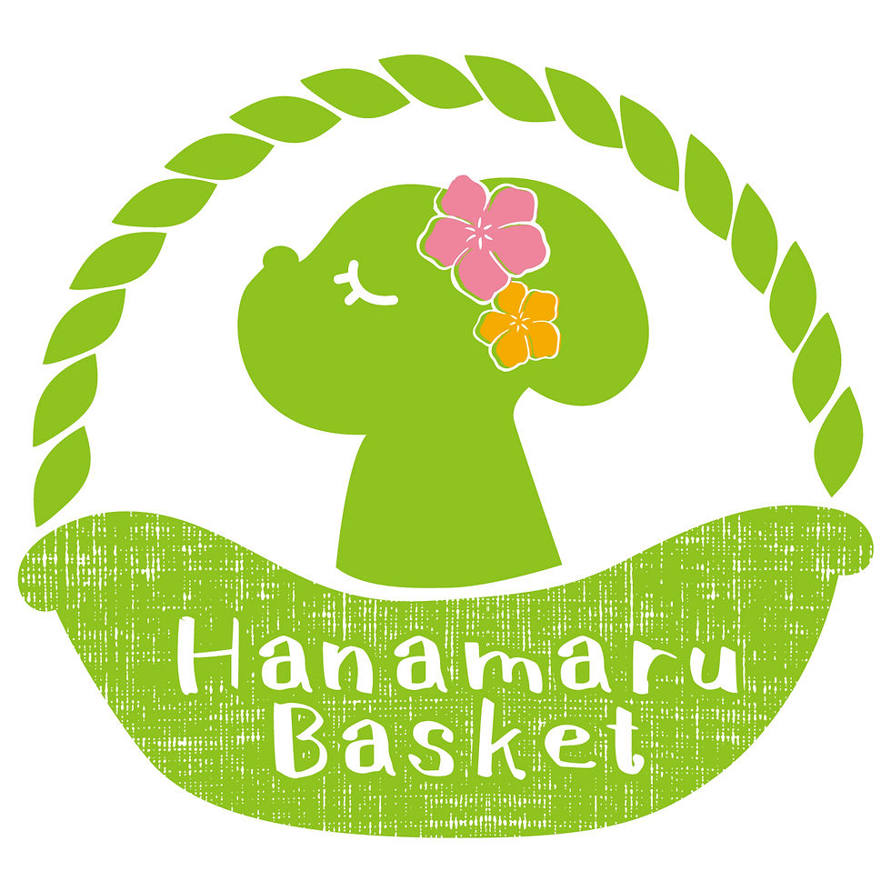 Logo_HB_SNS