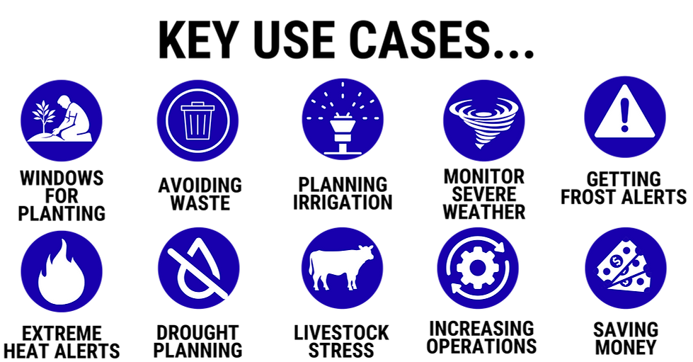 Services Tab (27).png