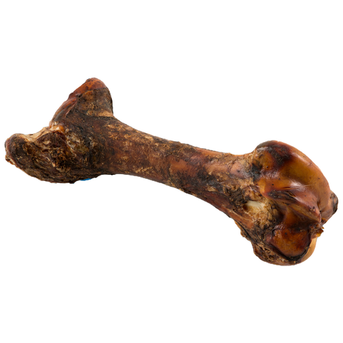 Beef Femur Frank Stoysich Meats