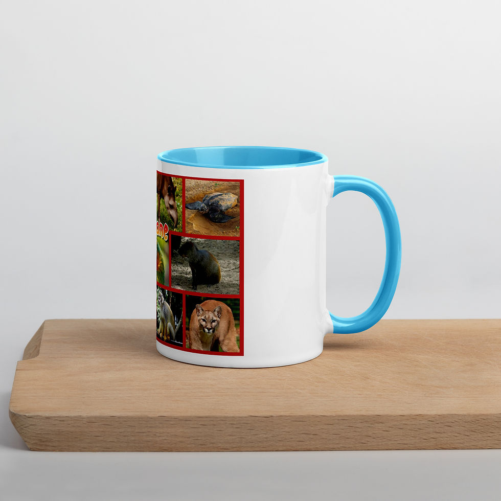Miniature : MUG ANIMAUX GUYANE - A LA DEMANDE -