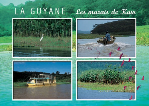 carte postale de guyane