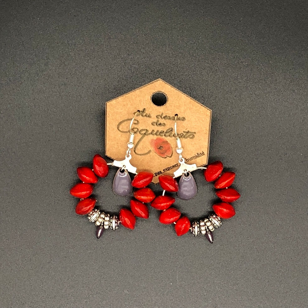 Boucle d'oreille graines