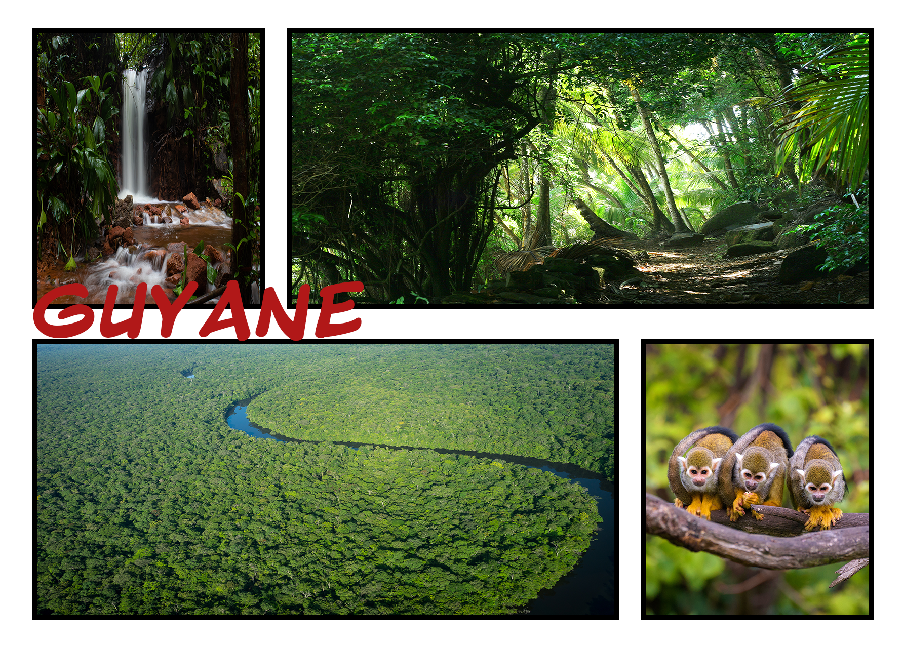 CARTE POSTALE GUYANE