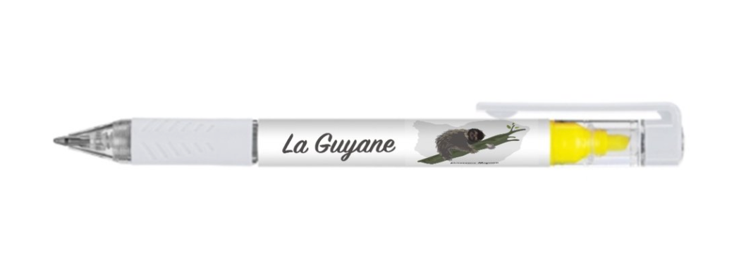 STYLO SURLIGNEUR PARESSEUX