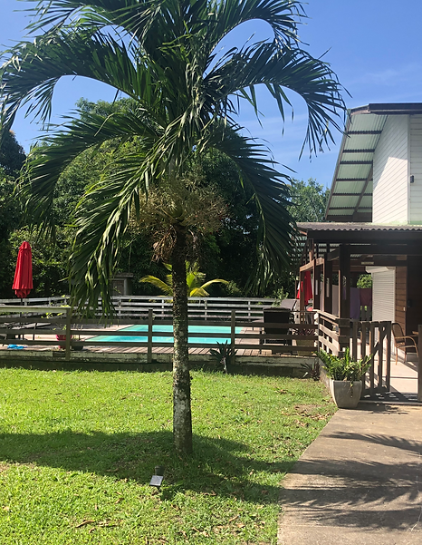 Entrée de la villa la Chaumière en Guyane
