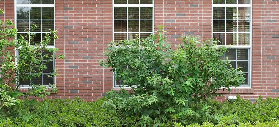 Home Wrs Glass And Screens Allen Tx 214 382 7660