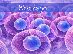 understanding cellular uptake thyvita dr Antonio Costantini