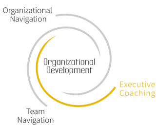 N.E.W.S.™ Executive Coaching is a unique structured and adaptable individual navigation process, specially designed for leaders in organizations.