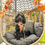 Thumbnail: Citrus Plaid - Harness