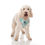 Thumbnail: ‘Happy Days’ Adjustable Harness
