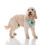 Thumbnail: ‘Happy Days’ Adjustable Harness