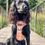 Thumbnail: Citrus Plaid - Harness