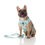 Thumbnail: ‘Happy Days’ Adjustable Harness