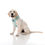 Thumbnail: ‘Happy Days’ Adjustable Harness