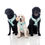 Thumbnail: ‘Happy Days’ Adjustable Harness