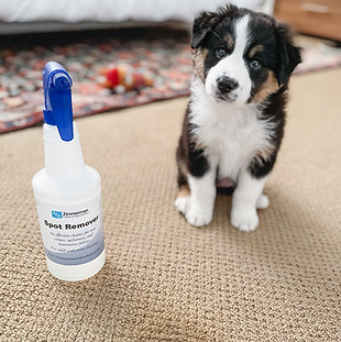 Photo May 11, 2 14 28 PM (1).jpg