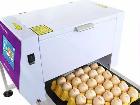 Yumurta Kodlama Makineleri Seçim Rehberi