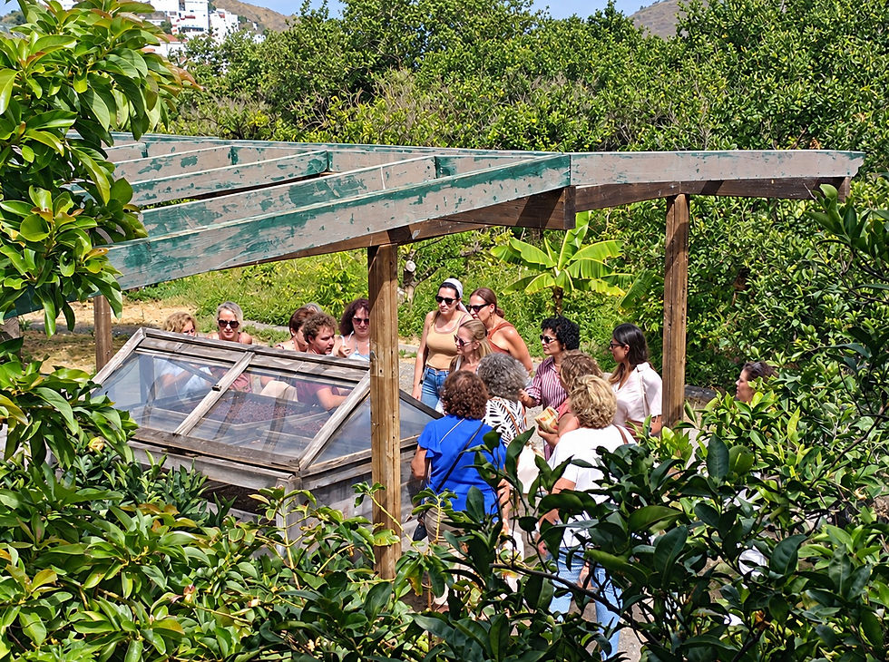 Tour round the Finca