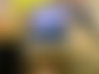 Cowork cafe Medellin with cats and dogs