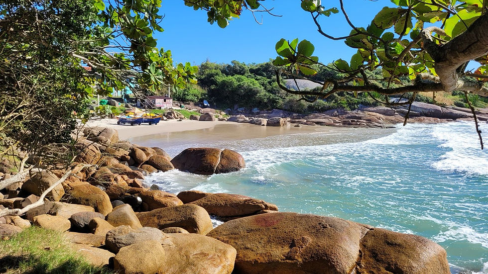 beach florianópolis coliving