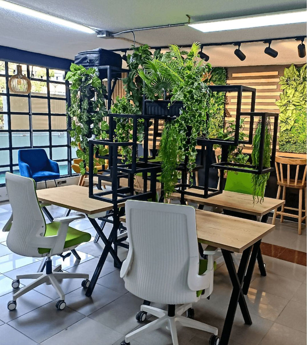 Coworking inspira Laureles