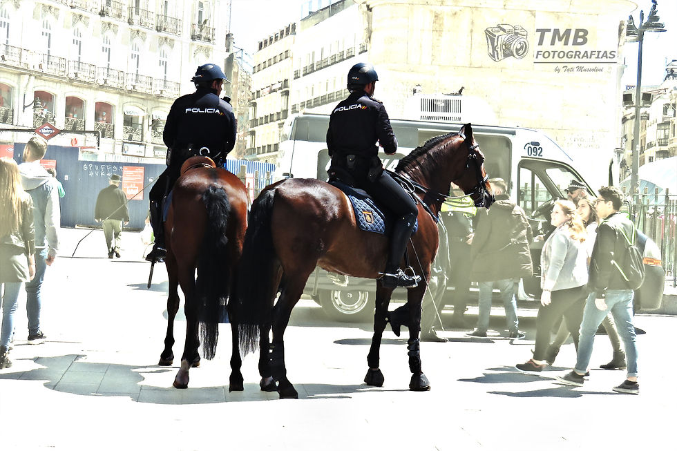 Madrid_3_0015