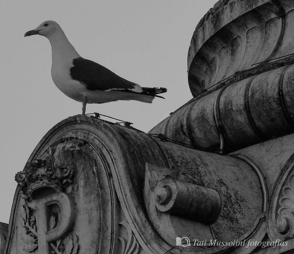 Lisboa6_0146
