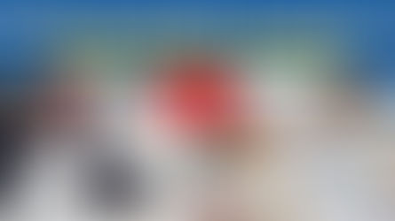 Polislik Güvenlik Soruşturması (Paem-Pmyo-Pomem)