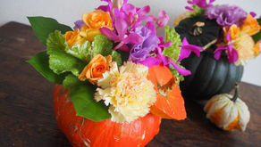 １０月のお花