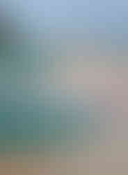 outriggers lined up on a beach in Hawaii