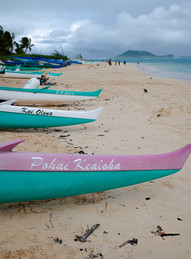 outriggers lined up on a beach in Hawaii