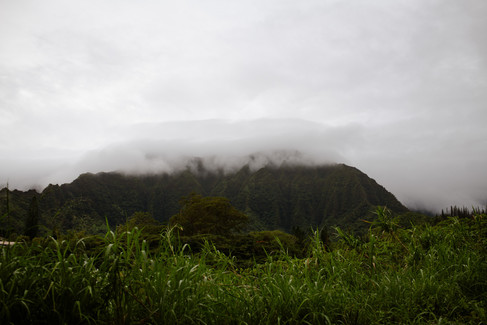 overlooking misty mountains in Hawaii